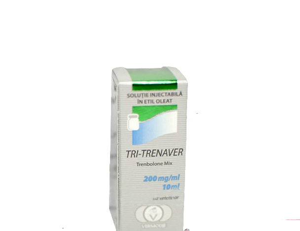 12 (11)-edited-free (carve.photos)